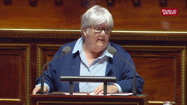 La loi antiterroriste définitivement adoptée