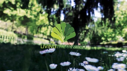 Living the Camino: our differents tours