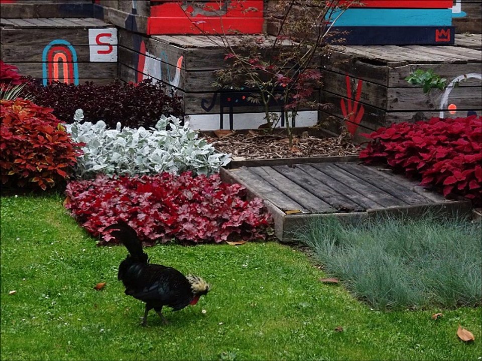 Le jardin des plantes de Nantes