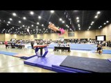 Taylor Harrison - Vault - 2014 J.O. Championships