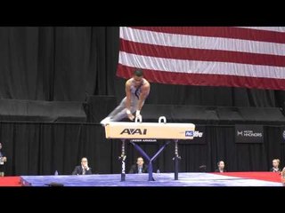 Donothan Bailey - Pommel Horse - 2014 P&G Championships - Sr. Men Day 1