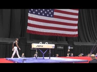Josh Dixon - Pommel Horse - 2014 P&G Championships - Sr. Men Day 1