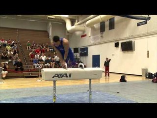 Danell Leyva - Pommel Horse - 2014 Men's National Qualifier