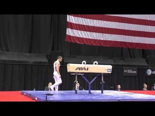 Drew Moling - Pommel Horse - 2014 P&G Championships - Sr. Men Day 1