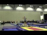 Carter Rhoades - Double Mini Finals Pass 1 - 2014 USA Gymnastics Championships