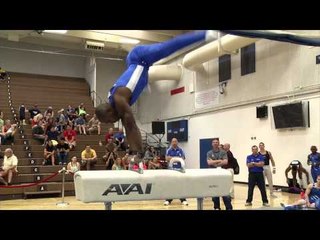 John Orozco - Pommel Horse - 2014 Men's National Qualifier