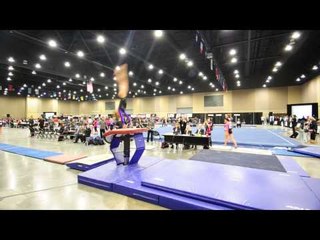 Mackenzie Brannan - Vault 1 - 2014 J.O. Championships