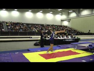 Stewart Pritchard - Double Mini Finals Pass 2 - 2014 USA Gymnastics Championships