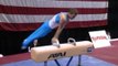 Todd Thornton - Pommel Horse - 2005 Visa Championships - Men - Day 2