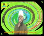 Naatchannel Naats 857,,hafiz tahir mustafai, نعت چینل نعتیں.  آیئں نعتیں سنیں