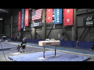 Austin Hodges - Pommel Horse - 2013 Winter Cup Finals