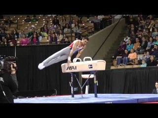 Jorge Hugo Giraldo Lopez - Pommel Horse - 2013 AT&T American Cup