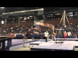Andrew Rickly - Vault - 2013 Winter Cup Prelims