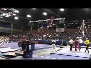 Alex Diab - Vault - 2013 Winter Cup Prelims