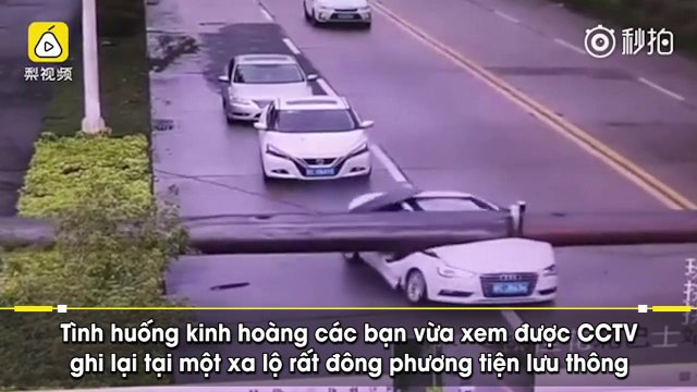 Cần trục từ trên trời rơi xuống đè xe nát bét, tài xế vẫn sống sót thần kỳ