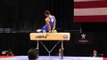 Danell Leyva - Pommel Horse - 2013 P&G Championships - Sr. Men - Day 1