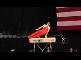 Eric Schryver - Pommel Horse - 2013 P&G Championships - Sr. Men - Day 1