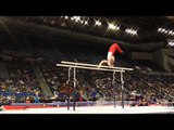 Colin Van Wicklen - Parallel Bars - 2013 P&G Championships - Sr. Men - Day 2