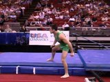 Jordan Jovtchev - Vault - 2000 Visa American Cup