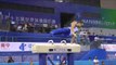 Danell Leyva - Pommel Horse - 2014 World Championships - Qualifications