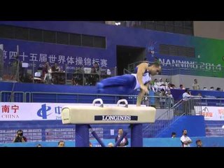 Danell Leyva - Pommel Horse - 2014 World Championships - Qualifications