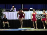 Colin Van Wicklen -  Vault  - 2014 Winter Cup Prelims