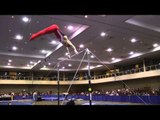 Eric Schryver - High Bar  - 2014 Winter Cup Prelims