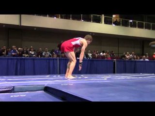 Allan Bower -  Vault  - 2014 Winter Cup Prelims