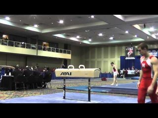 Wyatt Aycock - Pommel Horse - 2014 Winter Cup Challenge Prelims
