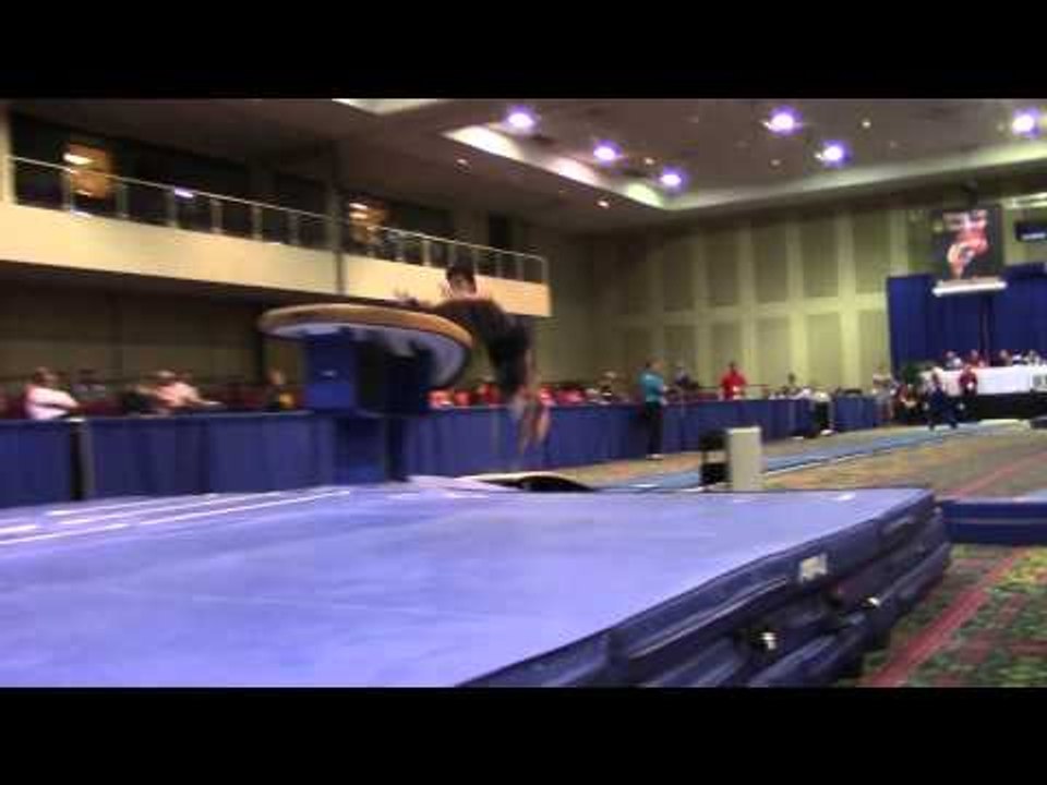 Jeffrey Langenstein -  Vault -  2014 Winter Cup Prelims