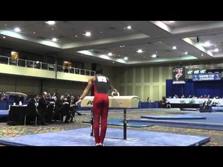 Joshua Dixon - Pommel Horse - 2014 Winter Cup Challenge Prelims