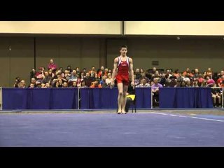 Davis Grooms - Floor Exercise - 2014 Winter Cup Challenge Finals