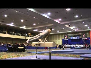 Donothan Bailey - Pommel Horse - 2014 Winter Cup Challenge Finals