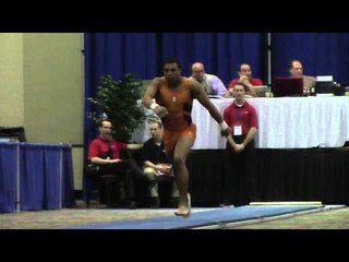 Chandler Eggleston - Vault - 2014 Winter Cup Prelims