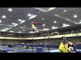 Ellis Mannon - High Bar - 2014 Winter Cup Challenge Finals