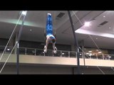 Yaroslav Pochinka - Still Rings - 2014 Winter Cup Prelims