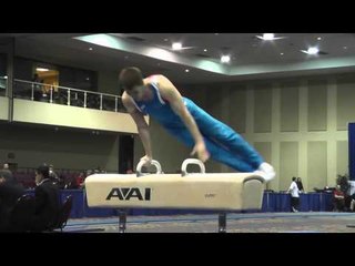Yaroslav Pochinka - Pommel Horse - 2014 Winter Cup Challenge Prelims