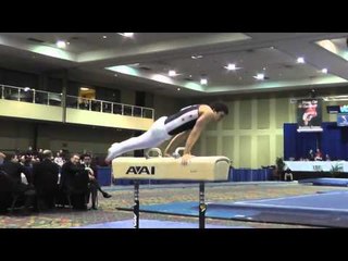 Joseph Hodges - Pommel Horse - 2014 Winter Cup Challenge Prelims