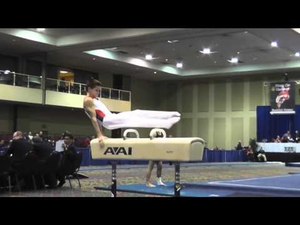 Davis Grooms - Pommel Horse - 2014 Winter Cup Challenge Prelims