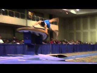 Fabian DeLuna - Vault  - 2014 Winter Cup Prelims