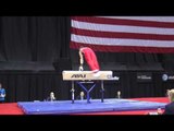 Marty Strech - Pommel Horse - 2014 P&G Championships - Jr. Men Day 1