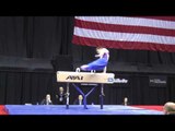 Yaroslav Pochinka - Pommel Horse - 2014 P&G Championships - Jr. Men Day 1