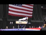 Sam Mikulak - Pommel Horse - 2014 P&G Championships - Sr. Men Day 1