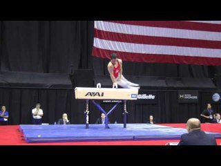 Levi Anderson - Pommel Horse - 2014 P&G Championships - Jr. Men Day 1