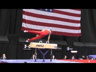 Marty Strech - Pommel Horse - 2014 P&G Championships - Sr. Men Day 2