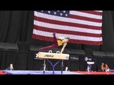 Ellis Mannon - Pommel Horse - 2014 P&G Championships - Sr. Men Day 2