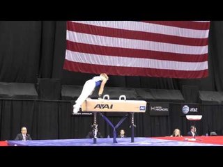 Shane Wiskus - Pommel Horse - 2014 P&G Championships - Jr. Men Day 2