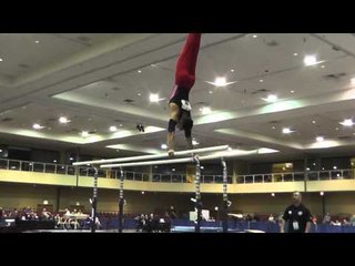 Mario Lubian - Parallel Bars - 2015 Winter Cup Prelims