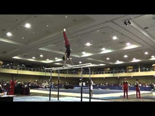 Robert Neff - Parallel Bars - 2015 Winter Cup Prelims