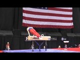 Yaroslav Pochinka - Pommel Horse - 2014 P&G Championships - Jr. Men Day 2